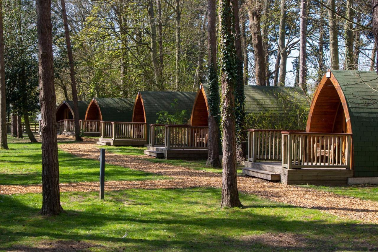 היית' Pinewood - At Port Lympne Reserve מראה חיצוני תמונה